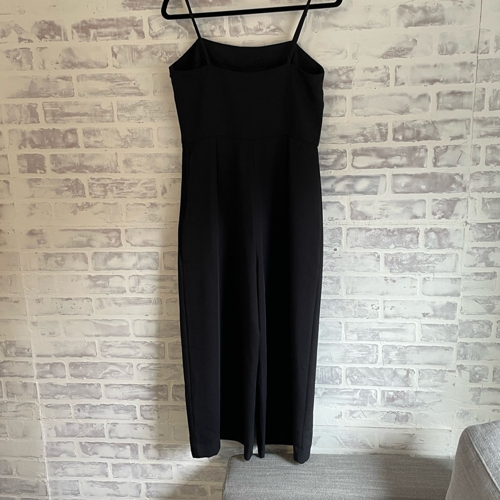 Aritzia Babaton Esteban Jumpsuit